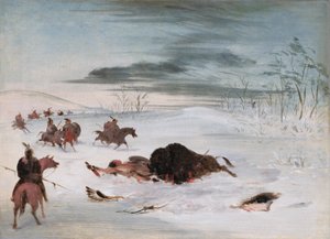 Umierający bawół w zaspie śnieżnej autorstwa George Catlin