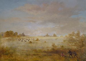 Ełk pasący się na jesiennej prerii, 1846-1848. autorstwa George Catlin