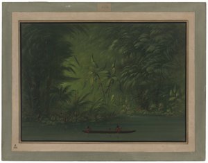 Wejście do laguny, brzeg Amazonki autorstwa George Catlin