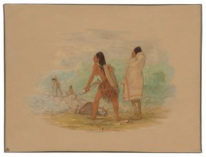 Płaskogłowi Indianie autorstwa George Catlin