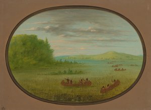 Zbieranie dzikiego ryżu - Winnebago, 18611869. autorstwa George Catlin