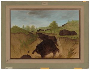 Niedźwiedzie grizzly atakują bawoły autorstwa George Catlin