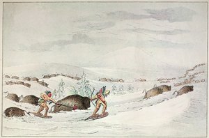 Polowanie na bawoły na rakietach śnieżnych autorstwa George Catlin