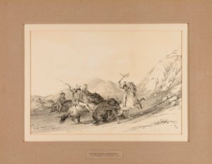 Indianie atakujący niedźwiedzie Grizzly - nr 19 autorstwa George Catlin