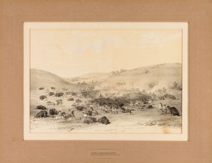 Indianie otaczający Buffalo - nr 9 autorstwa George Catlin
