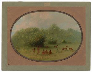 Indianie i konie w lesie autorstwa George Catlin