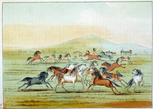Indianie Ameryki: dzikie konie, na które polują Indianie. Ilustracja George