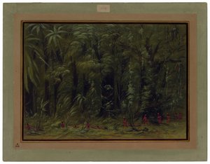 Wnętrze amazońskiego lasu - Zurumati autorstwa George Catlin