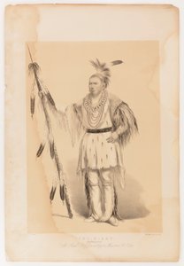 Joc-o-sot, chodzący niedźwiedź autorstwa George Catlin