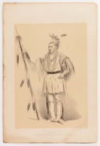 Joc-o-sot, chodzący niedźwiedź autorstwa George Catlin