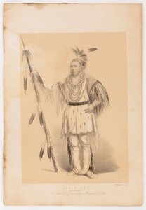 Joc-o-sot, chodzący niedźwiedź autorstwa George Catlin