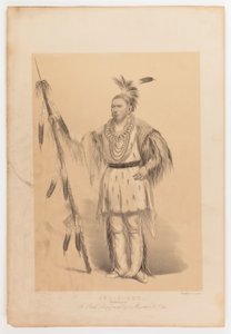 Joc-o-sot, chodzący niedźwiedź autorstwa George Catlin
