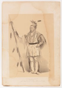Joc-o-sot, chodzący niedźwiedź autorstwa George Catlin
