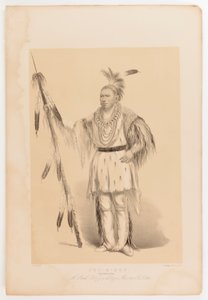 Joc-o-sot, chodzący niedźwiedź autorstwa George Catlin