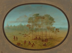 Indianie Kiowa zbierają dzikie winogrona, 18611869. autorstwa George Catlin
