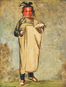 Káw-kaw-ne-chóo-a, odważny autorstwa George Catlin