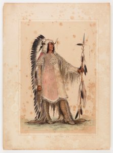 Mah-to-toh-pa, wódz Mandanów autorstwa George Catlin