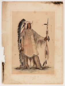 Mah-to-toh-pa, wódz Mandanów autorstwa George Catlin