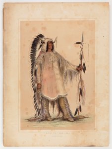 Mah-to-toh-pa, wódz Mandanów autorstwa George Catlin