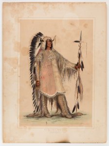 Mah-to-toh-pa, wódz Mandanów autorstwa George Catlin