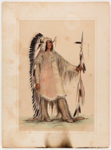 Mah-to-toh-pa, wódz Mandanów autorstwa George Catlin