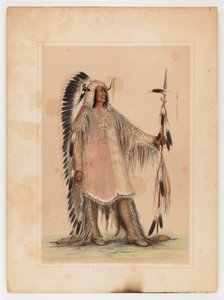Mah-to-toh-pa, wódz Mandanów autorstwa George Catlin