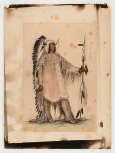 Mah-to-toh-pa, wódz Mandanów autorstwa George Catlin