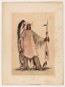 Mah-to-toh-pa, wódz Mandanów autorstwa George Catlin