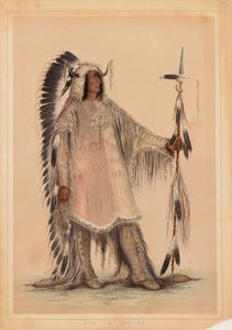 Mah-to-toh-pa, wódz plemienia Mandanów autorstwa George Catlin