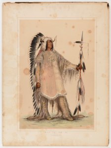 Mah-to-toh-pa, wódz Mandanów autorstwa George Catlin