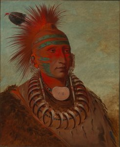 No-ho-mun-ya, Ten, Który Nie Poświęca Uwagi autorstwa George Catlin