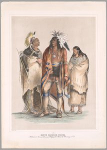 Indianie Ameryki Północnej autorstwa George Catlin