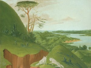 Klify nadrzeczne z białymi wilkami na pierwszym planie, górny bieg rzeki Missouri autorstwa George Catlin