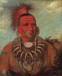 Shon-ta-yi-ga, Mały Wilk, słynny wojownik autorstwa George Catlin