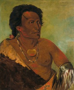 Sky-se-ró-ka, drugi wódz plemienia autorstwa George Catlin