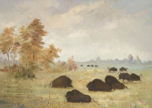 Stalking Buffalo, Arkansas autorstwa George Catlin