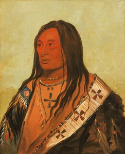 Táh-zee-keh-dá-cha, Rozdarty Brzuch, Wybitny Odważny autorstwa George Catlin