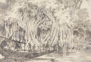Drzewo Pipul autorstwa George Chinnery