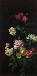 Róże autorstwa George Cochran Lambdin