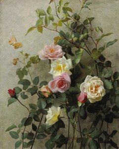 Róże na ścianie, 1877