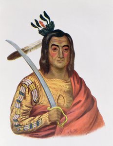 Mou-Ka-Ush-Ka lub "Drżąca Ziemia", wódz Yankton Sioux, ilustracja z "The Indian Tribes of North America", Thomas L. McKenney i James Hall, wyd. John Grant