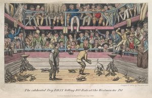 Zabijanie szczurów, „Życie w Londynie itd.”, Pierce Egan autorstwa George Cruikshank