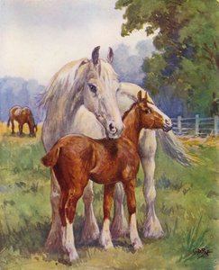 Dumna matka (kolorowa litografia)