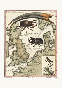 Rachunek egipskiego Ibisa i najmniejszego kolibra, 1749-73 autorstwa George Edwards