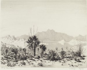 Miraż, Arizona autorstwa George Elbert Burr