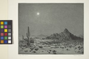 Arizona Night autorstwa George Elbert Burr