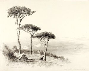 Capri z Sorrento autorstwa George Elbert Burr