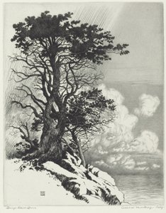 Wybrzeże w Monterey w Kalifornii autorstwa George Elbert Burr