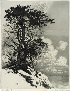 Wybrzeże w Monterey, Kalifornia autorstwa George Elbert Burr