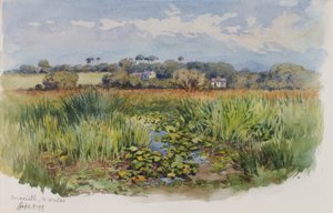 Criccieth, Płn. Walia, 1899. autorstwa George Elbert Burr